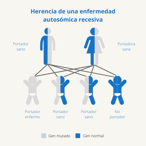¿Qué es la prueba de detección de portadores genéticos y cómo se realiza?